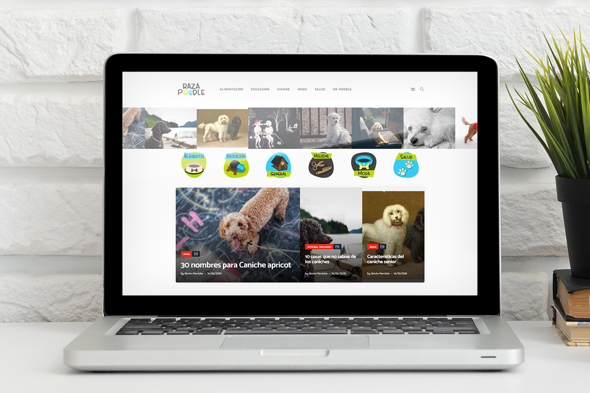 Raza Caniche portal para dueños de perros